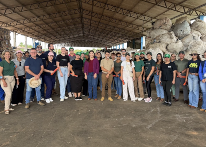 Captura de Tela 2026-04-01 às 11.15.53